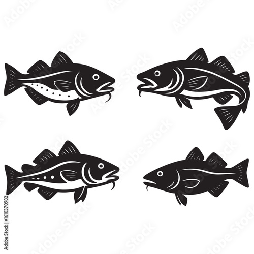 Atlantic cod fresh, Gadus morhua, fish of Greenland, cod fish vector 
