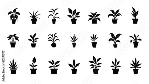 Potted plants foliage silhouettes houseplants green