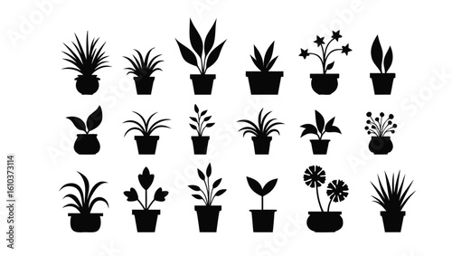 Potted plants silhouettes houseplants indoor plants