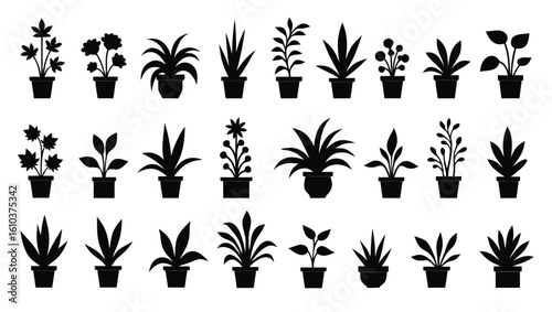 Various potted plants in silhouette houseplants indoor plants