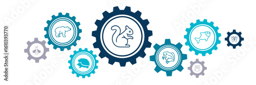 Biodiversity vector illustration. Green concept with icons related to the ecosystem, fauna & biology, different animals / wildlife, environmental protection, ecology, sustainability.