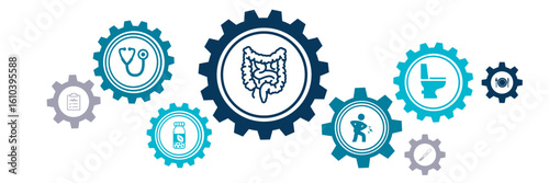 intestinal disease vector illustration. Concept with connected icons related to irritable bowel disease, inflammatory bowel syndrome, colitis ulcerosa or stomach pain. 