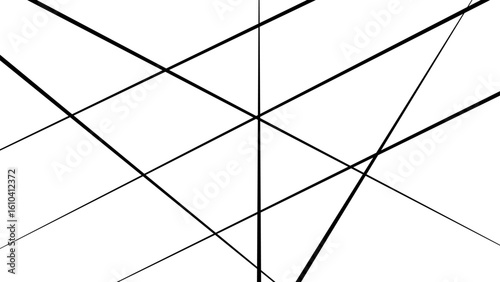 Abstract white background with random black lines, nervures de Feuillet mores, fond rectangle and geometric.