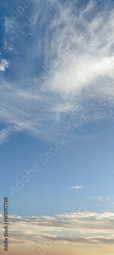 A vast expanse of a clear blue sky as the background, with several wispy white clouds floating gently. High - definition