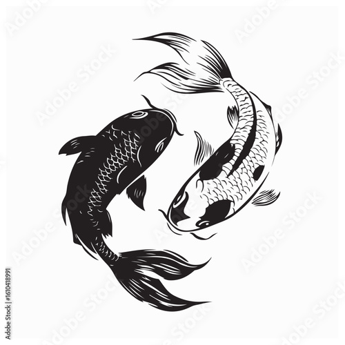Yin yang symbol with koi fish Stock Vector Image on white background
