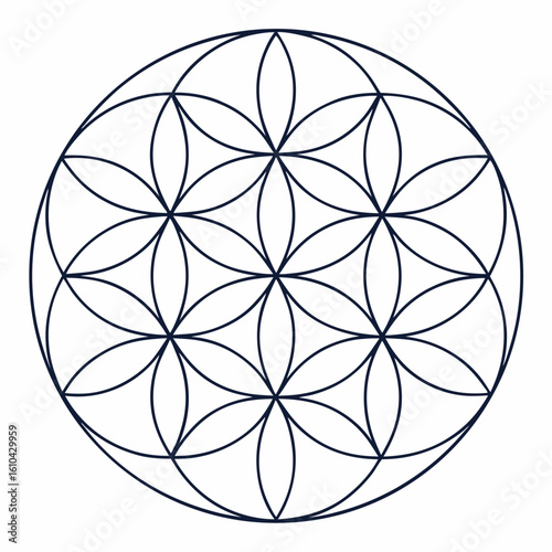 Geometric flower of life sacred geometry symbol in dark blue outline on white background