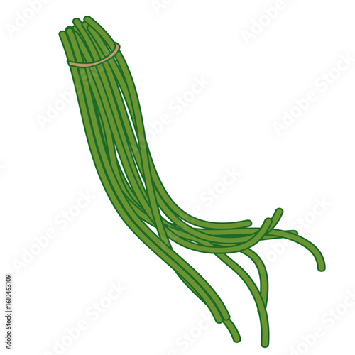 Fresh green chives tied with a band, perfect for culinary inspiration and healthy eating visuals.