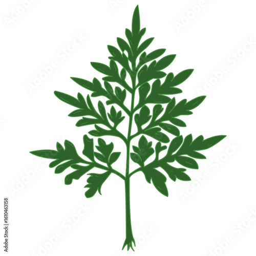Vibrant green fern frond unfurls with delicate, detailed foliage, symbolizing growth and nature's beauty.