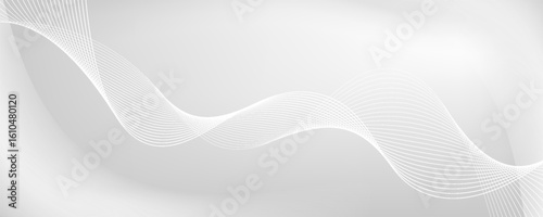 Abstract minimalist white and gray curve modern background. texture white pattern. vector illustration