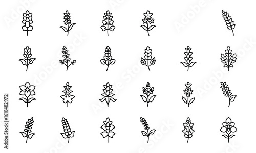 Bundle Delphinium Icon Silhouettes Style White background