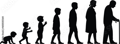 Human life stages silhouette, childhood to old age, aging progression, people growth timeline, evolution of human development