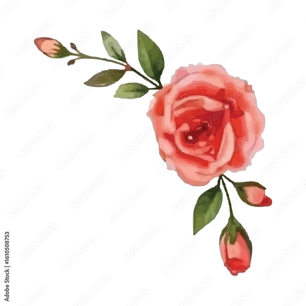 Obraz premium watercolor pink rose isolated