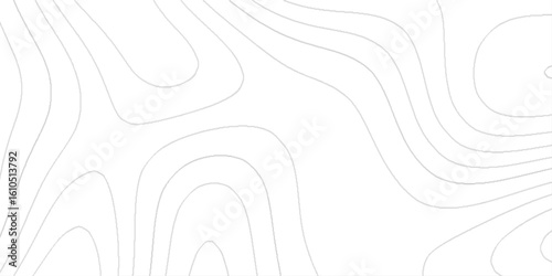 light gray contour lines against a plain white background,  the contour lines found on a topographic map, details that would define a real geographical area.