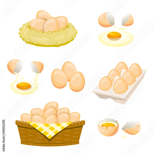 set of egg illustration and cartoon
