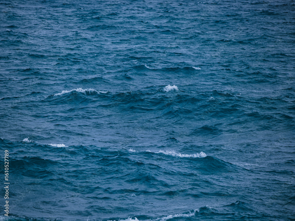 Fototapeta premium Graceful ocean waves