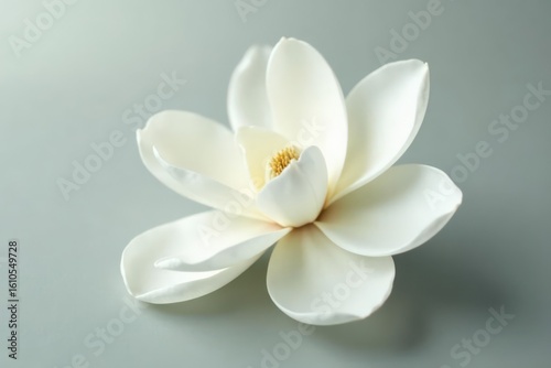 Pure white magnolia, silky petals, ethereal bloom, isolated backdrop , background, closeup