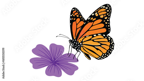 Monarch Butterfly on Purple Flower. featuring butterfly, monarch, insect and more, creating a perfect scene. This scene includes elements like nature, wildlife, animal.