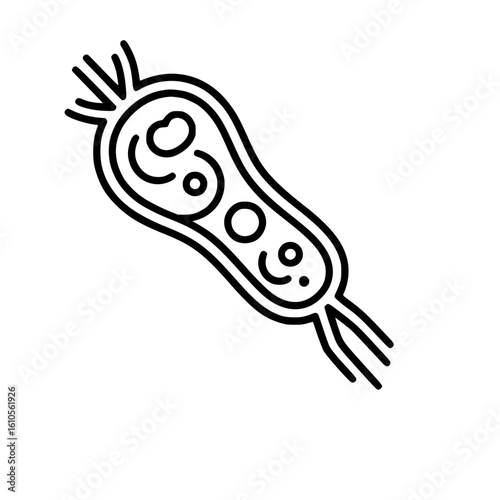 bacteria cell dividing with spiky outline