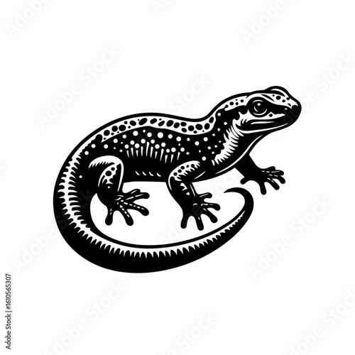A detailed black and white illustration of a lizard