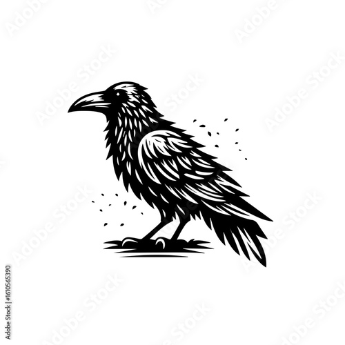 A detailed illustration of a raven perched on a surface