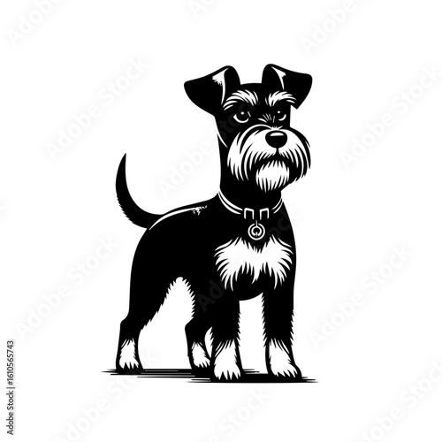 A stylized illustration of a schnauzer dog