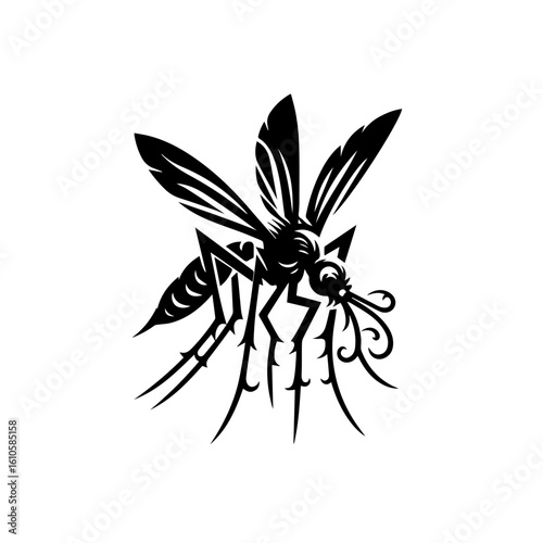 Mosquito insect with detailed wings and legs