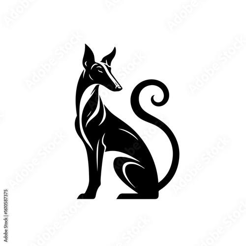 Elegant black sighthound dog sitting gracefully