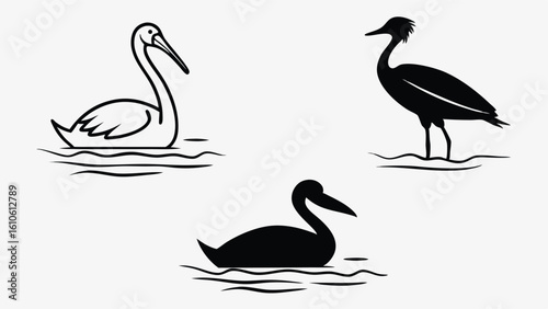Elegant black and white vector illustrations of various birds in different poses and situations
