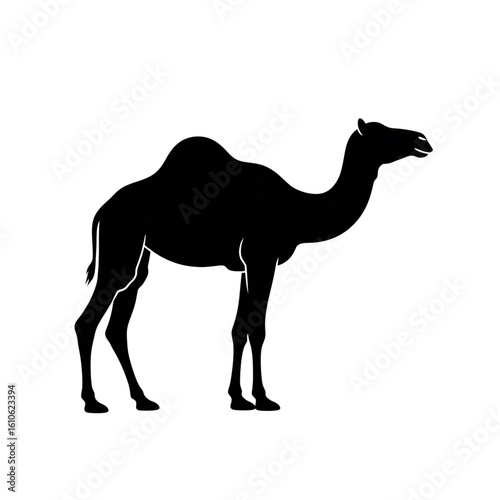 camel on white background