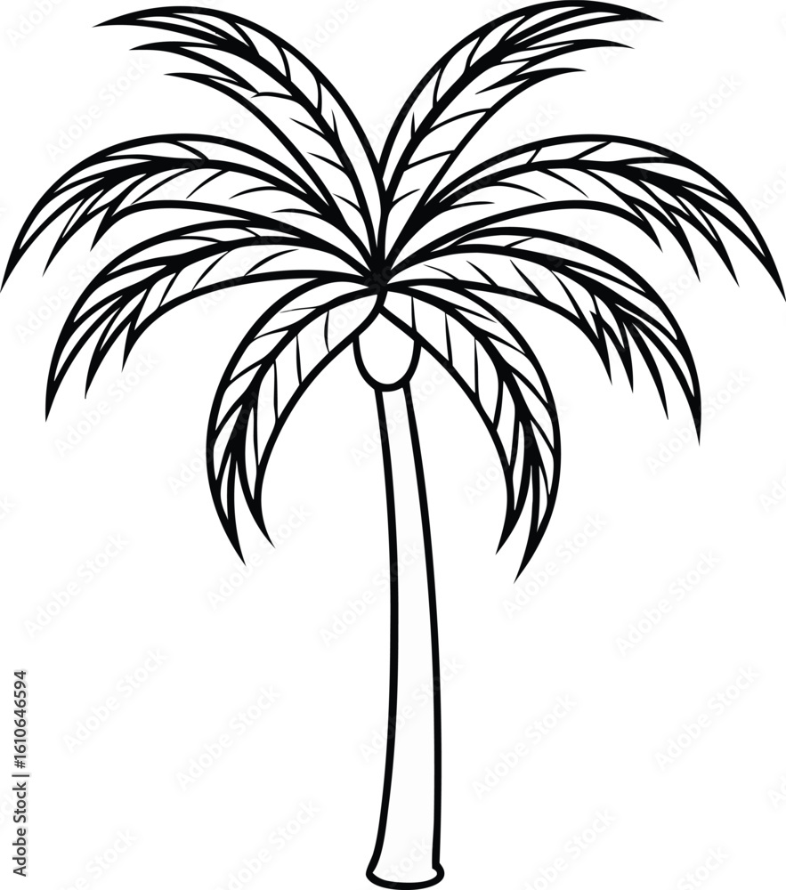 Obraz premium Minimal line art areca palm tree with thin black outline elegant tropical vector, Areca palm tree line art, Minimalist palm tree drawing, Thin outline tropical palm vector