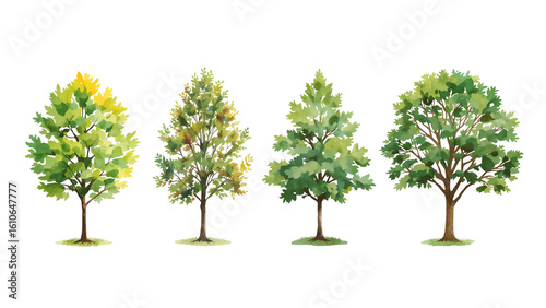 Diverse arboreal watercolor collection on transparent providing design versatility for natural