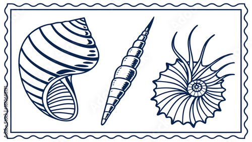 Sea snail shell and fish vector illustration set with marine ocean beach nature design elements