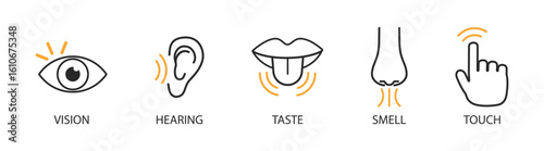Illustration of human senses, including sensory perception of eye, ear, nose, mouth, hand, tongue, taste, smell, touch, vision, and symbols, with anatomy and organ icons on transparent background.
