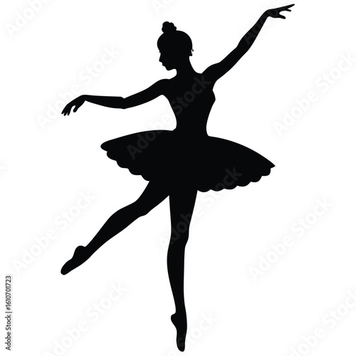 graceful ballerina art