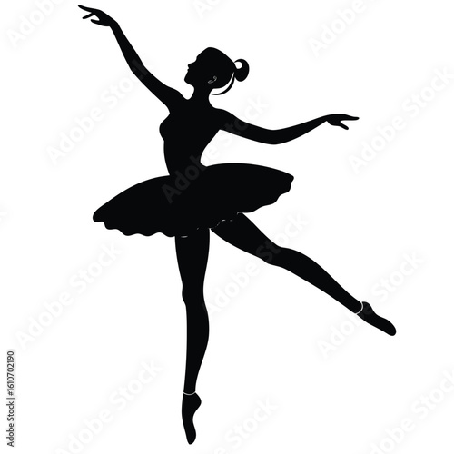 ballet dancer mid movement