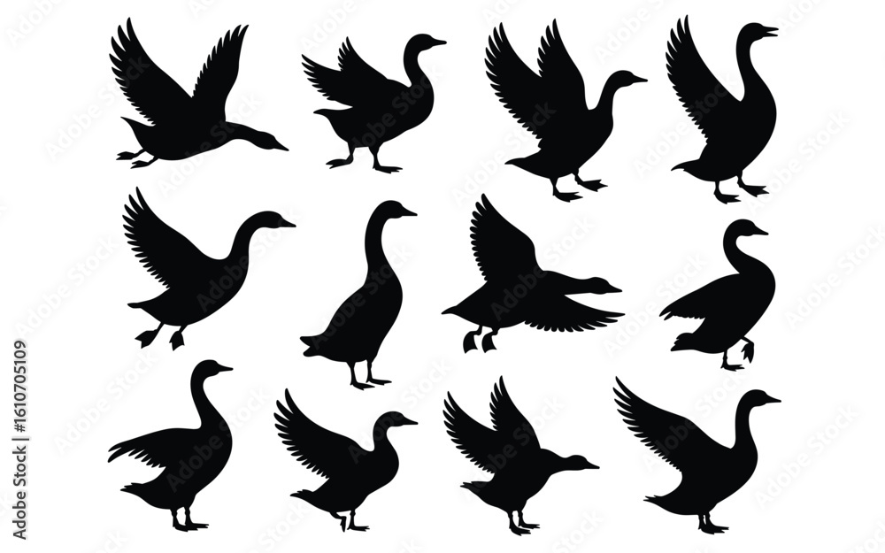 Fototapeta premium Duck Silhouette Pose Set – Graceful Bird Movements for Nature, Education & Seasonal Design