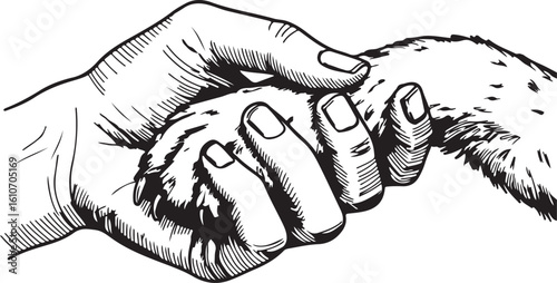 Monochrome Depiction of a Human Hand Gently Holding the Fur of an Animal in a Caring and Affectionate Manner