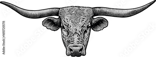 Steer Cattle Head vector silhouette print design