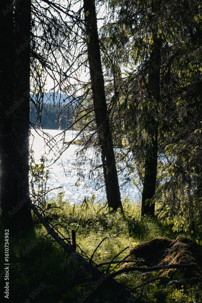 Fototapeta premium Großer Fluss in Nordschweden 