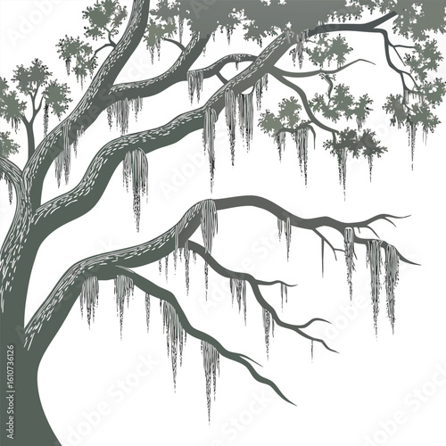 Decorative Spanish Moss Artwork