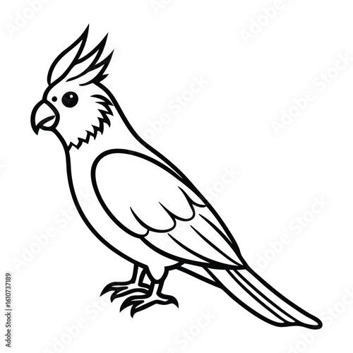 Cartoon cockatoo bird line art