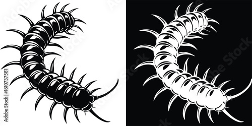 Silhouette Centipede Illustration with Alternate Black and White Background Variations