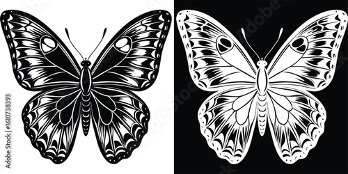 Elegant Detailed Butterfly Illustration with Symmetrical Design in Black and White