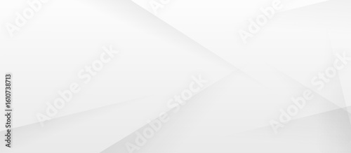 Abstract white and gray modern geometric diagonal lines texture background. Vector Illustration