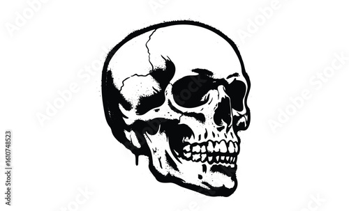 Intricate black and white human skull illustration with detailed shadows. Vector retro hand drawn illustration