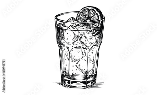 Intricate black-and-white drawing of a citrus infused glass of iced water. Vector retro hand drawn illustration