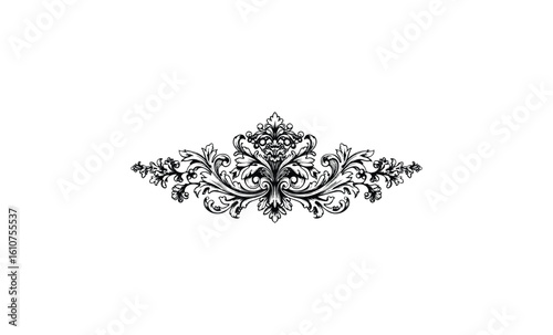 Elegant black ornate baroque flourish design. Vector retro hand drawn illustration