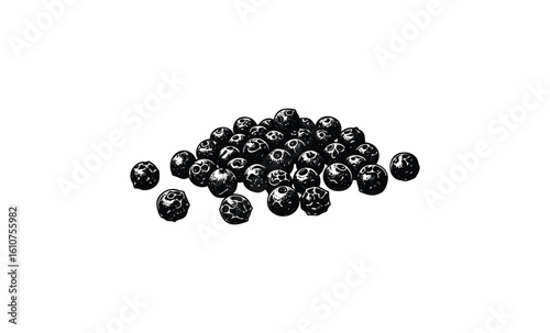 “black peppercorns pile isolated”. Vector retro hand drawn illustration