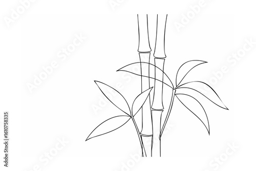 Minimalist bamboo stalks with leaves plant nature