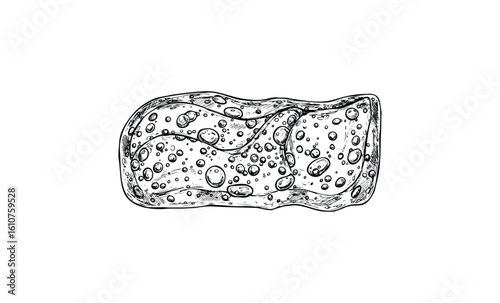 Detailed black and white illustration of a sponge with soapy bubbles. Vector retro hand drawn illustration